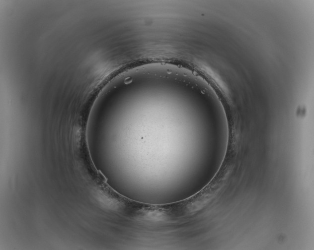 X0000091560113200708171334