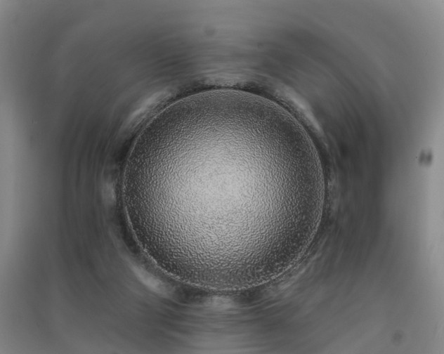 X0000091560114200708171334