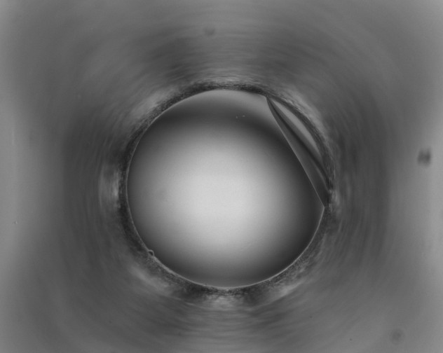 X0000091560115200708171334