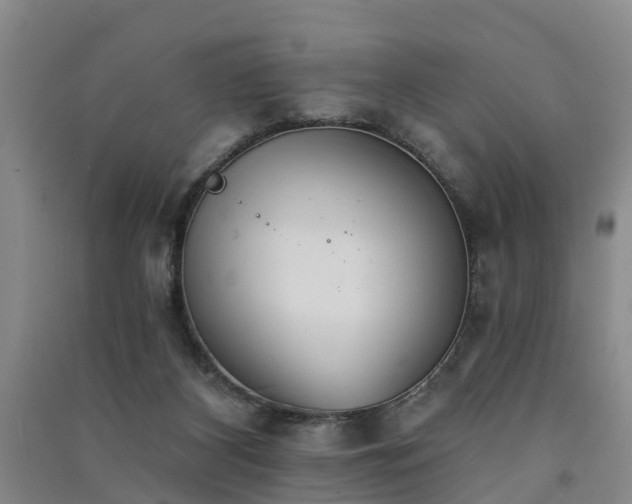 X0000091560116200708171334