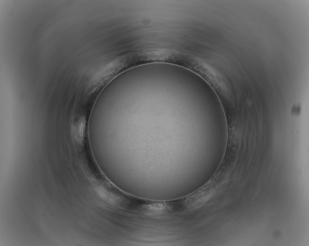 X0000091560118200708171334