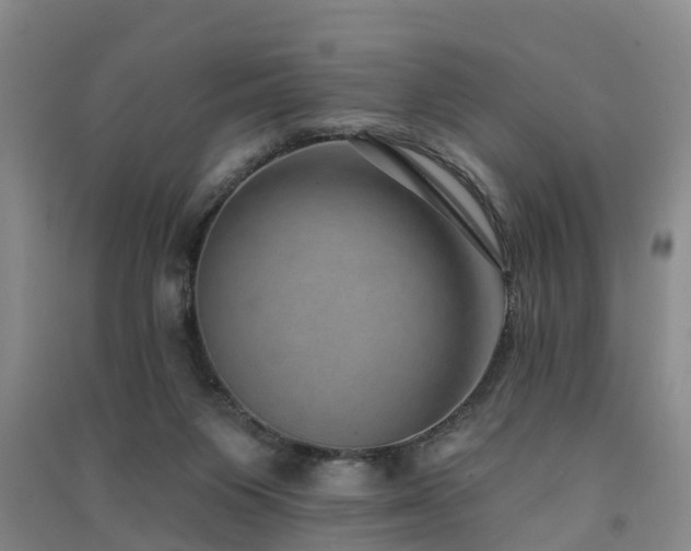 X0000091560119200708171334