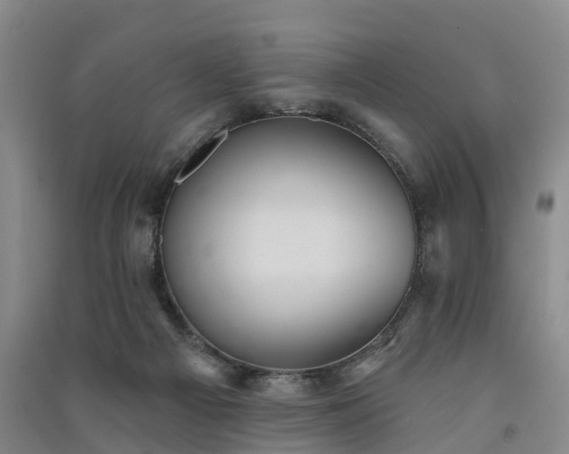 X0000091560121200708171334