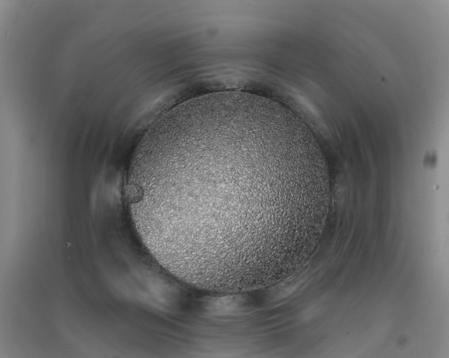 X0000091560122200708171334