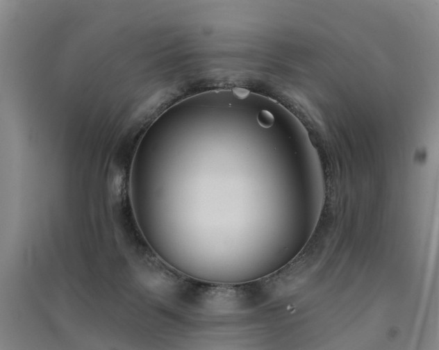 X0000091560123200708171334