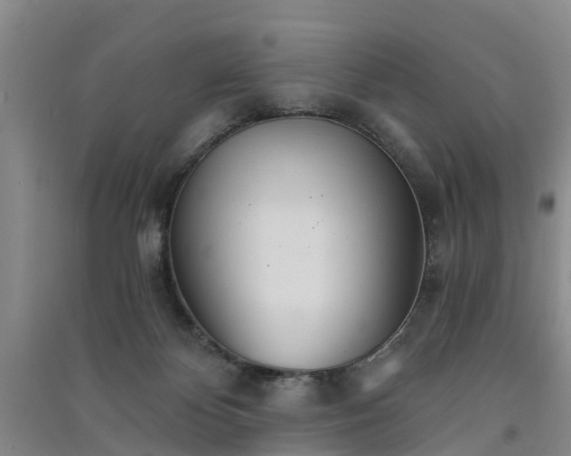 X0000091560124200708171334