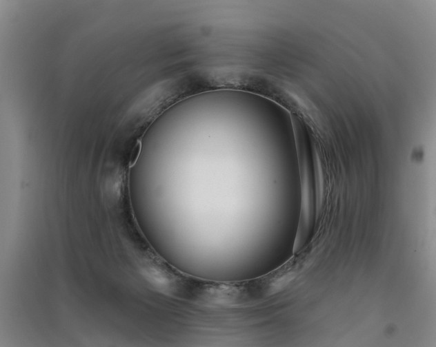 X0000091560125200708171333