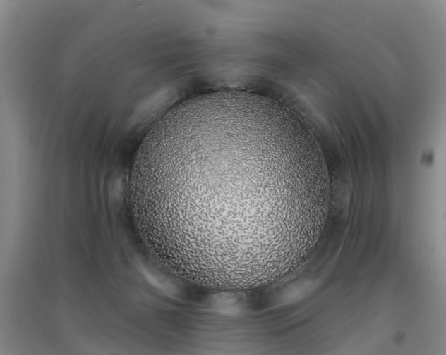 X0000091560126200708171333