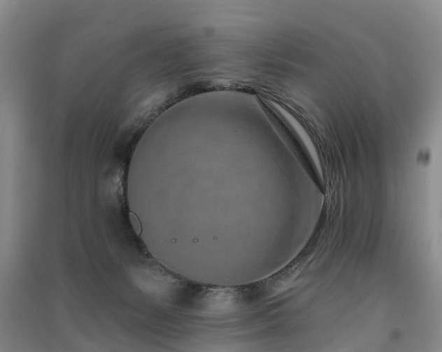 X0000091560127200708171333