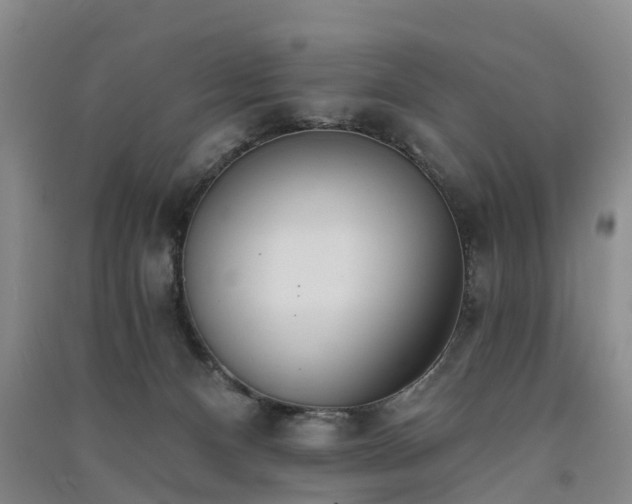 X0000091560128200708171333