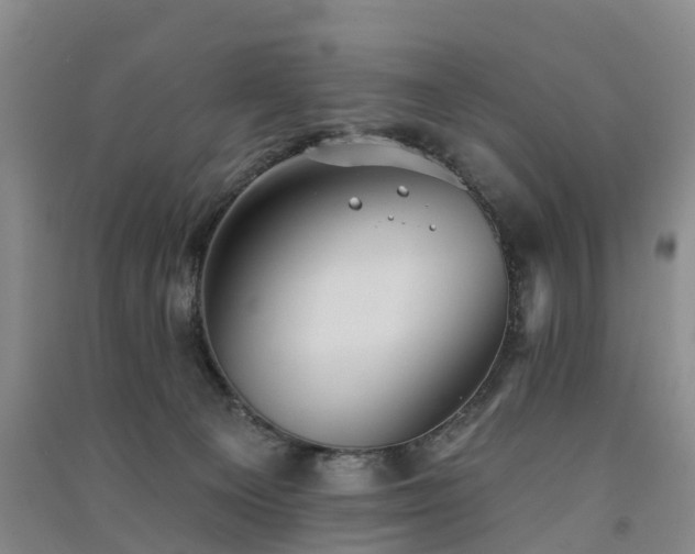 X0000091560129200708171333