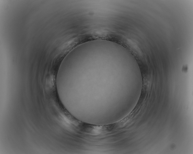 X0000091560130200708171333