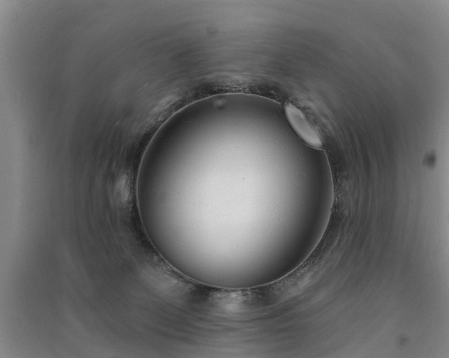 X0000091560131200708171333