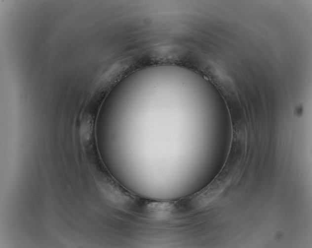 X0000091560133200708171333