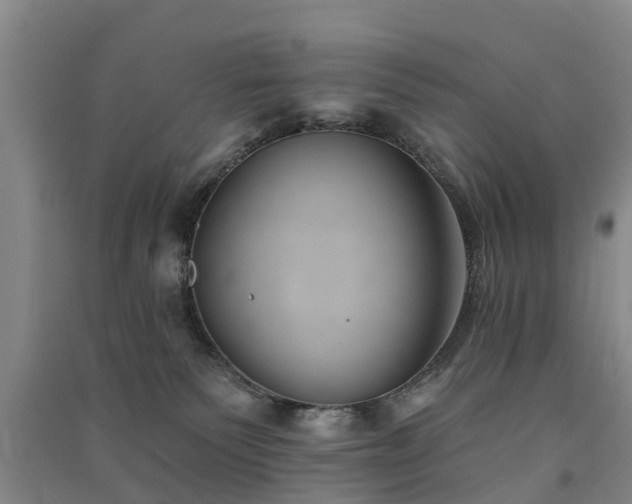 X0000091560135200708171333