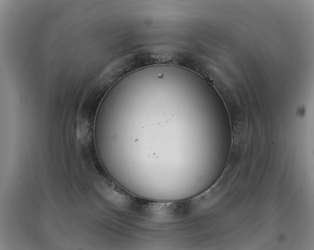 X0000091560136200708171333