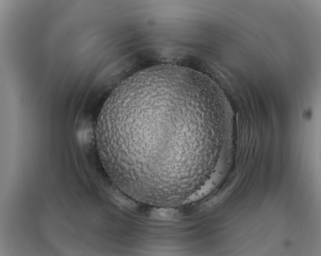 X0000091560137200708171333