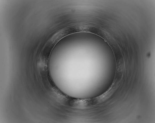 X0000091560140200708171333