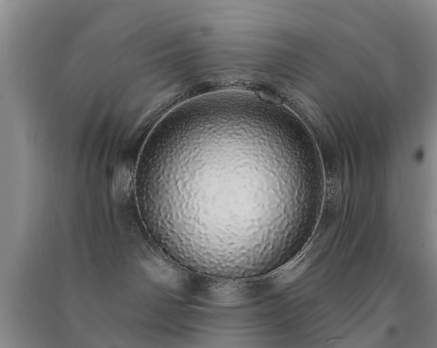 X0000091560142200708171333