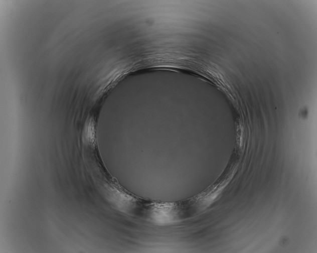 X0000091560143200708171333