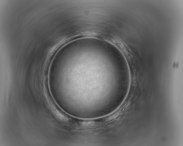 X0000091560145200708171332