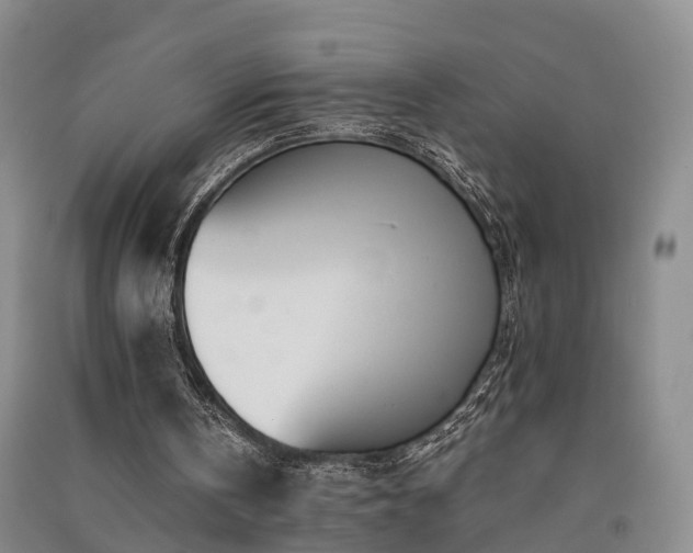 X0000091560146200708171332