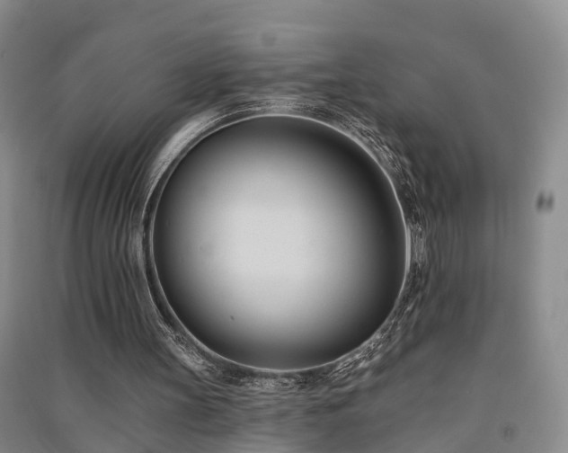 X0000091560147200708171333