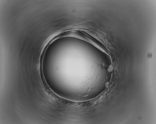 X0000091560148200708171333