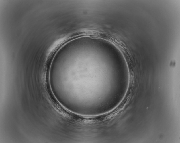 X0000091560149200708171333