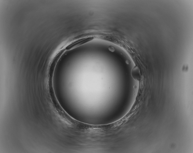 X0000091560150200708171333