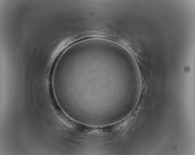 X0000091560151200708171333