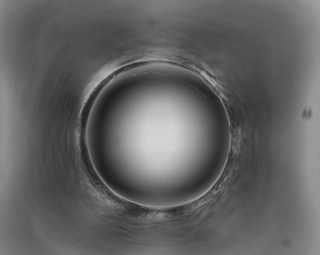 X0000091560152200708171333