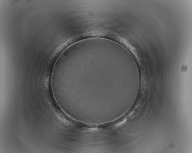 X0000091560153200708171333