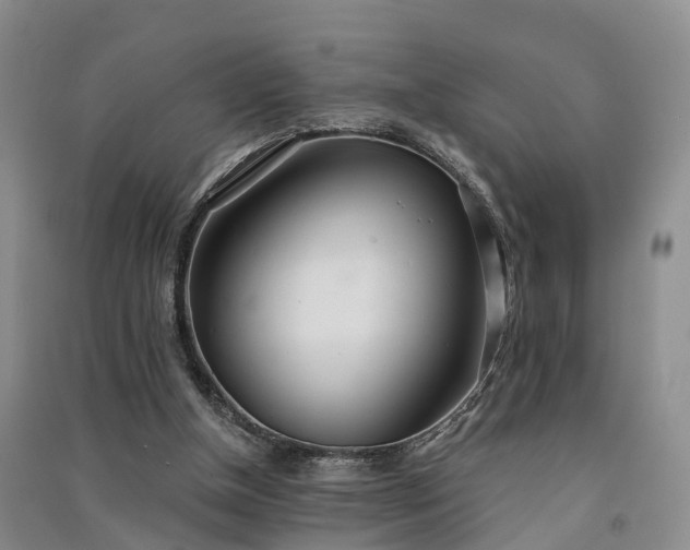 X0000091560154200708171333