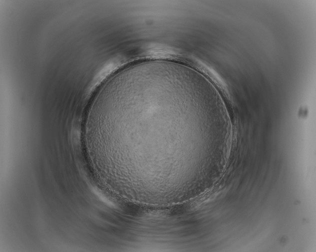 X0000091560155200708171333