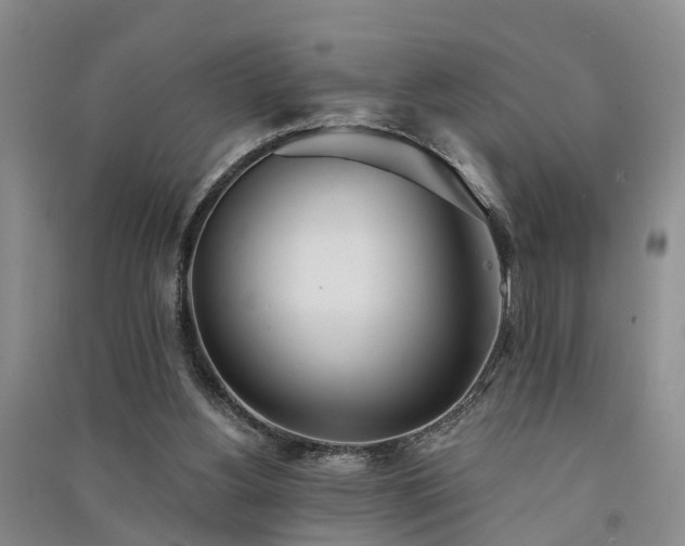 X0000091560156200708171333