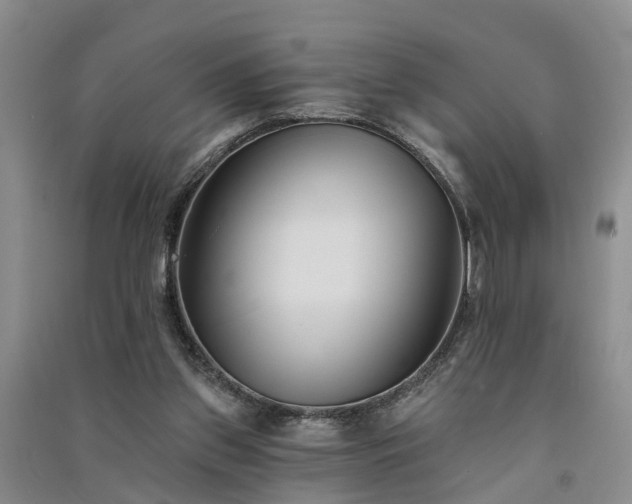 X0000091560157200708171333