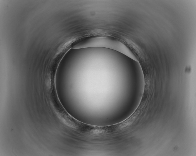 X0000091560158200708171333