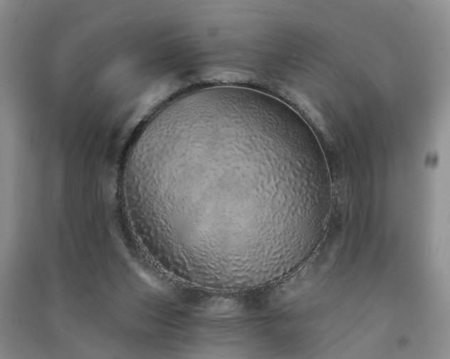 X0000091560159200708171333