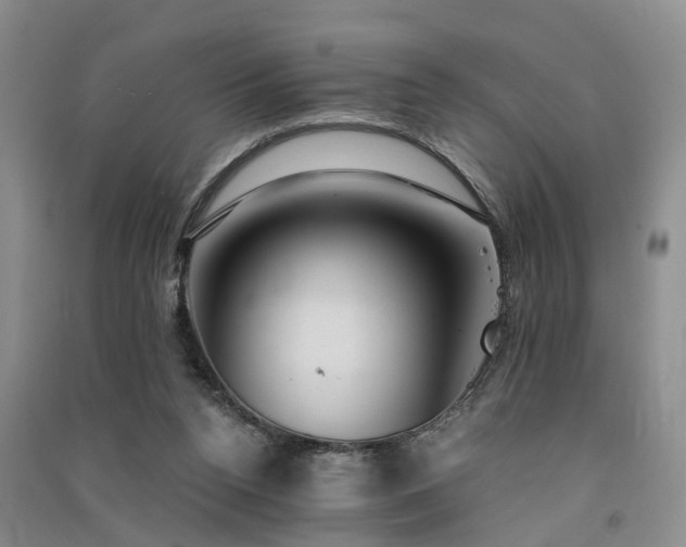 X0000091560160200708171333