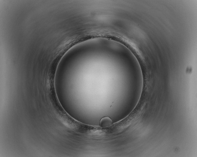 X0000091560161200708171333