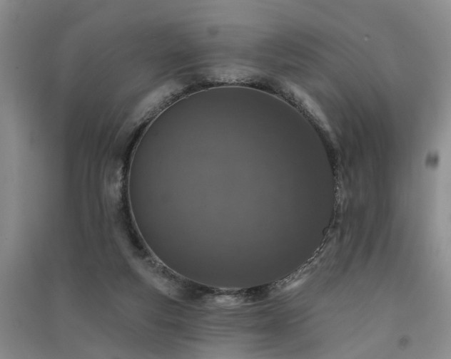 X0000091560163200708171333