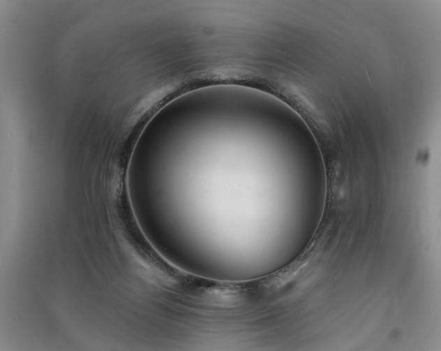 X0000091560164200708171333