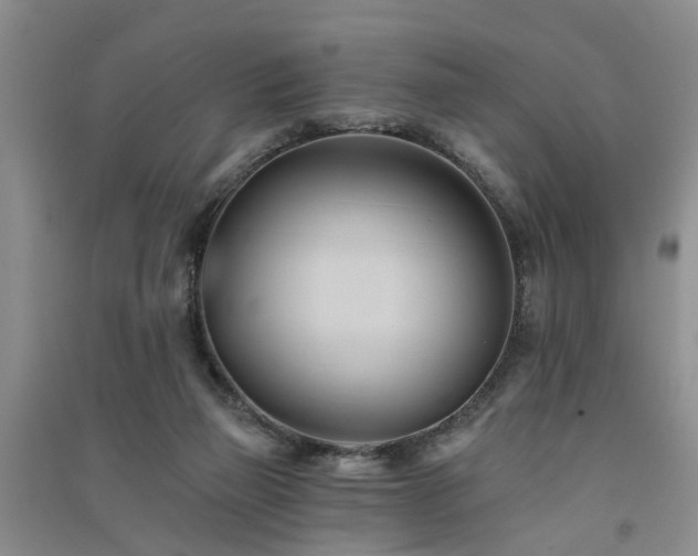 X0000091560165200708171333