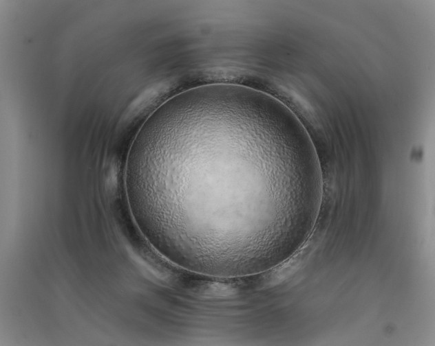 X0000091560166200708171333