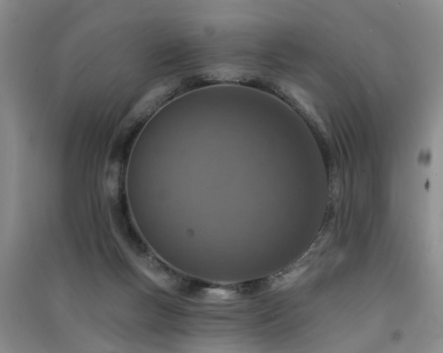 X0000091560167200708171333