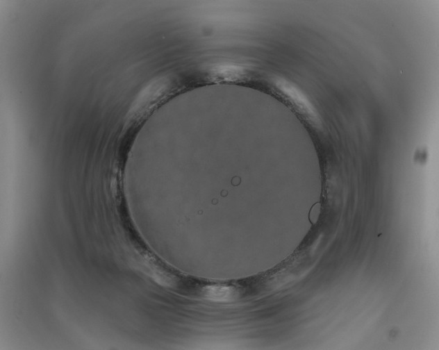 X0000091560169200708171333