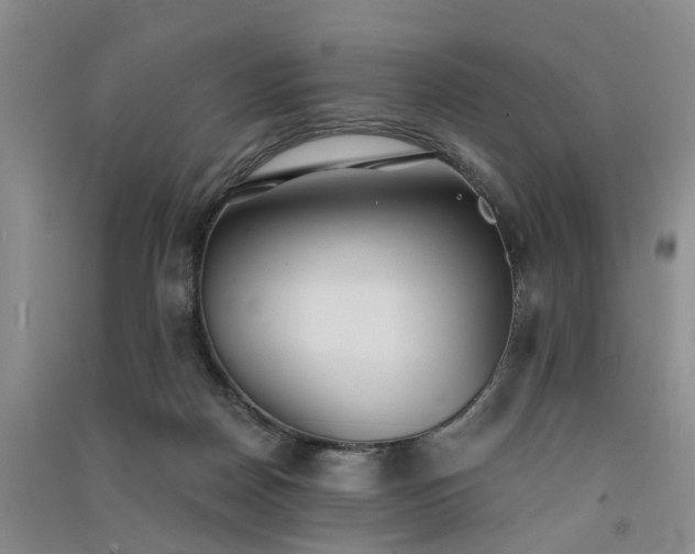 X0000091560170200708171333