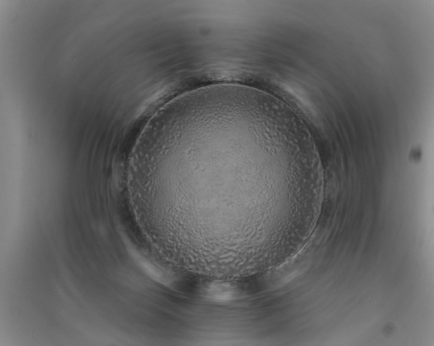 X0000091560171200708171333