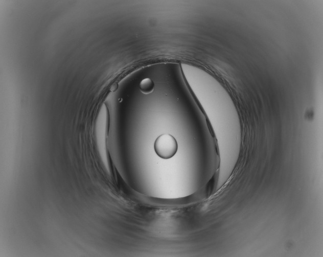 X0000091560172200708171333